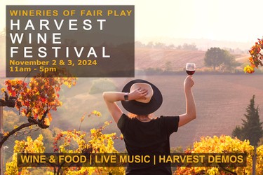 Bumgarner Winery Event Fair Play Harvest Festival 2024