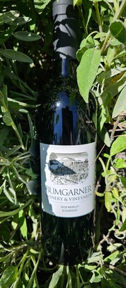 2020 Merlot