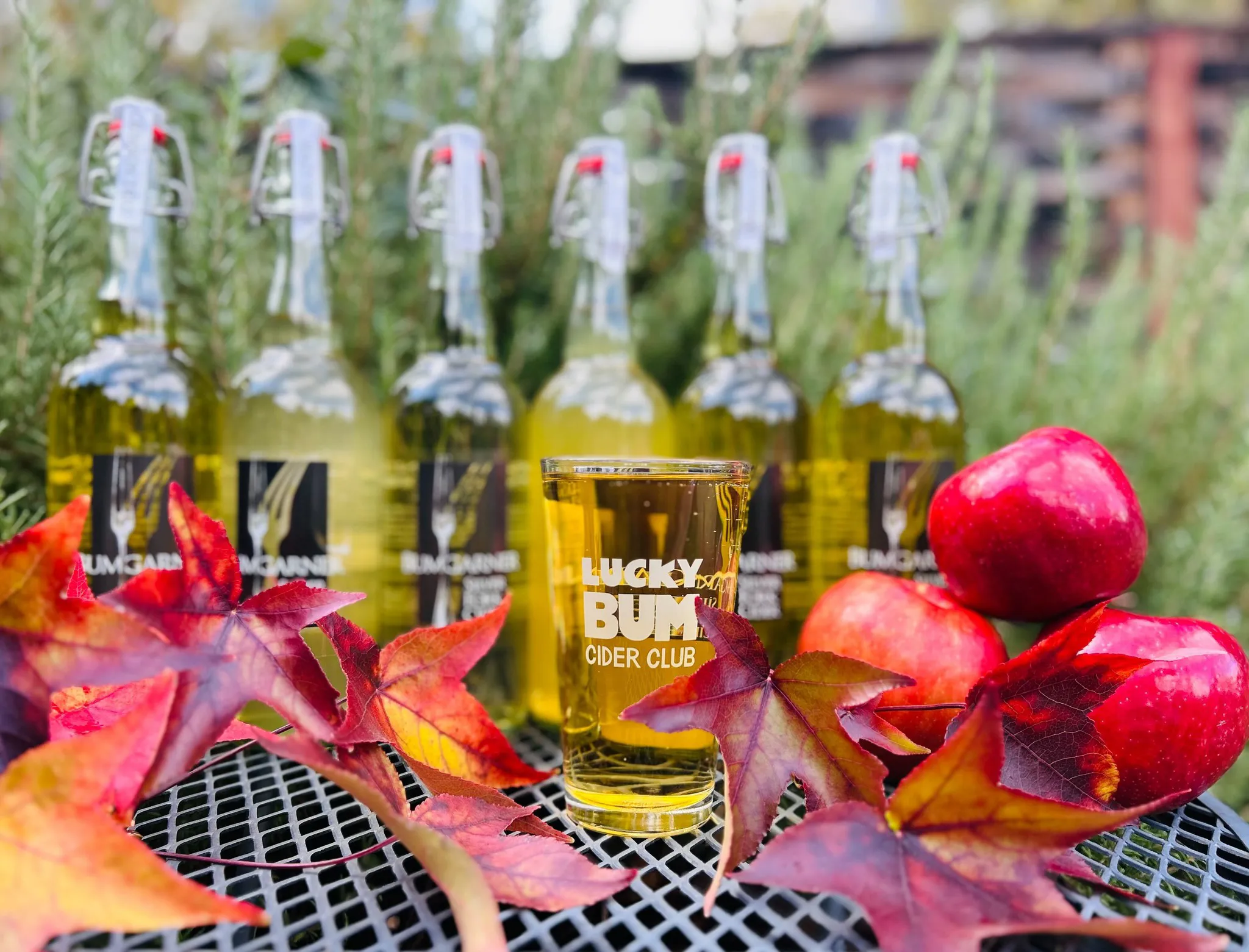 Lucky Bum Cider with leaves and bottles