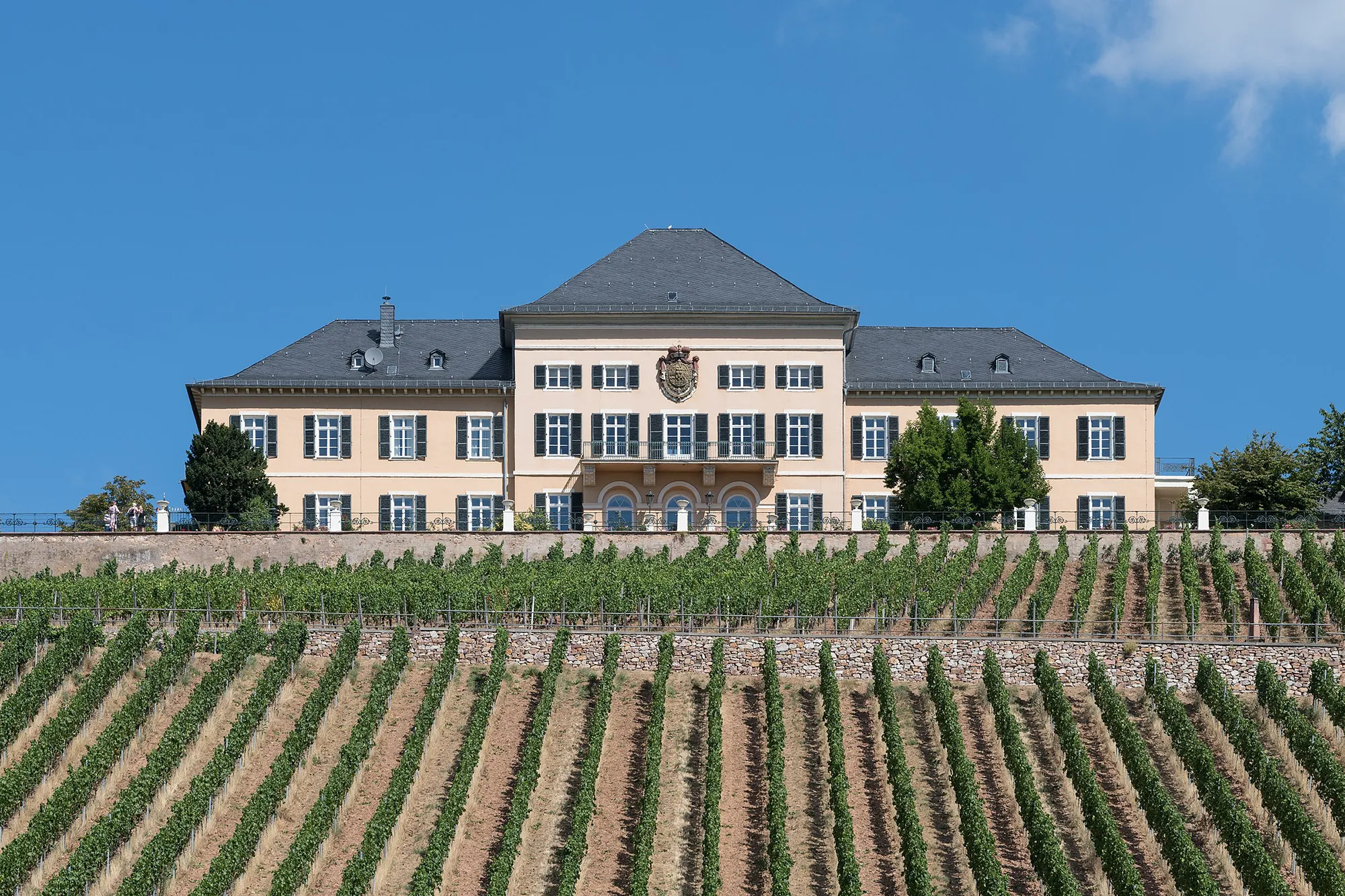 Hotel on Rhine River Wine Cruise